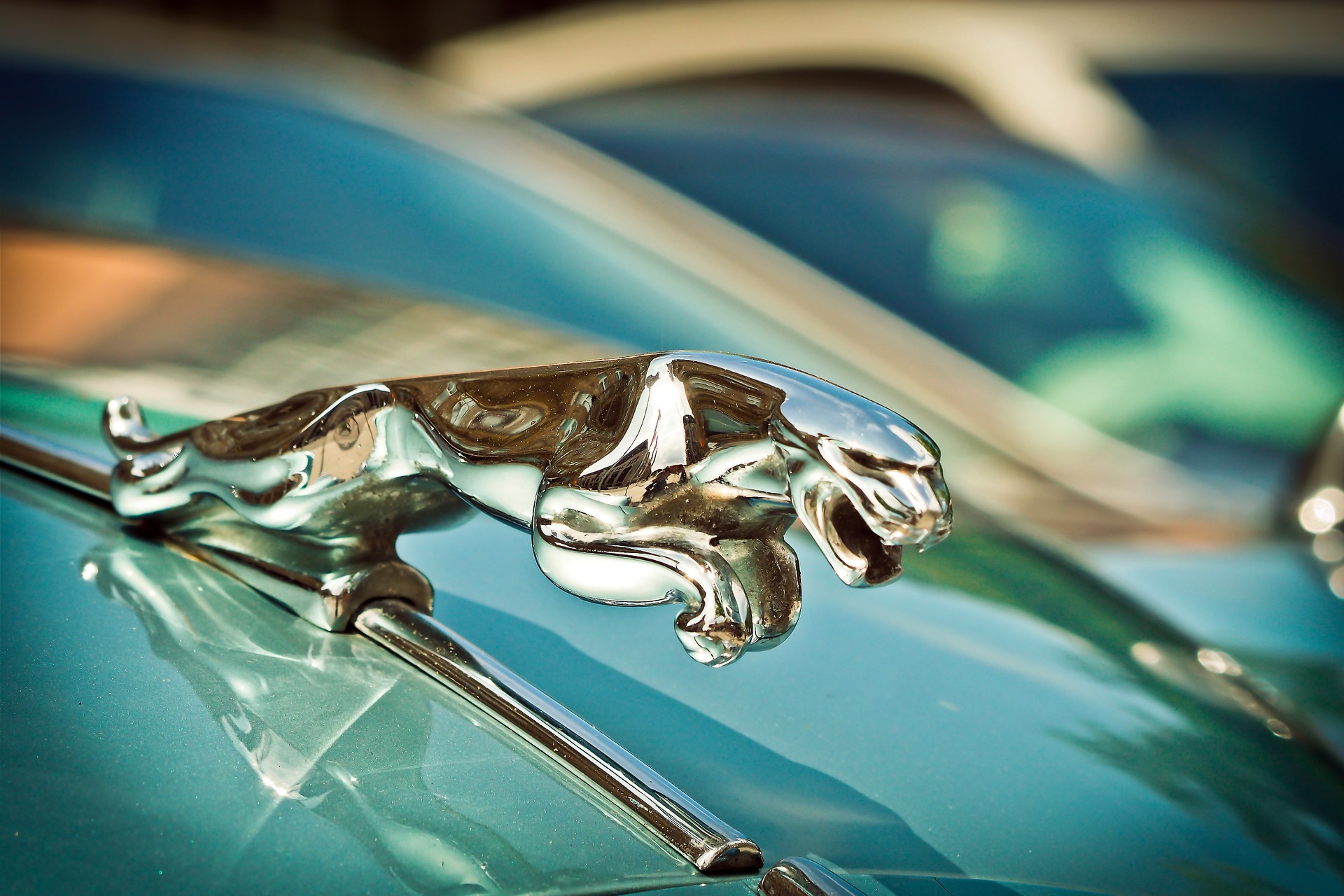 jaguar afgiftsregler