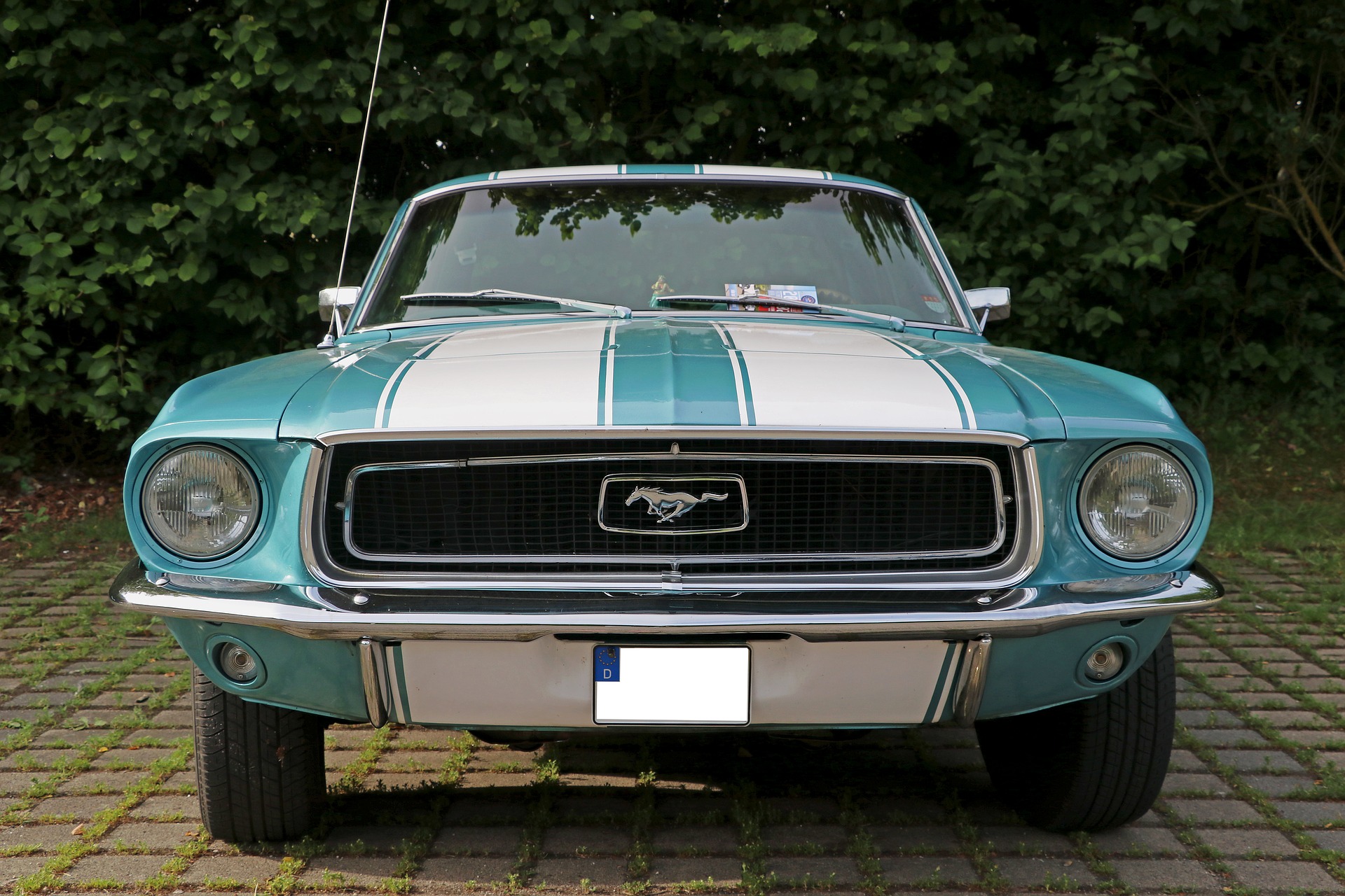 Mustang